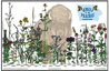 Jewels of the Prairie Blooming Heights